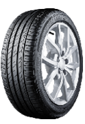 Bridgestone DriveGuard Car Tyre