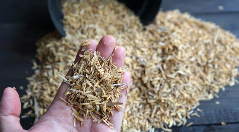 Handing holding rice husks
