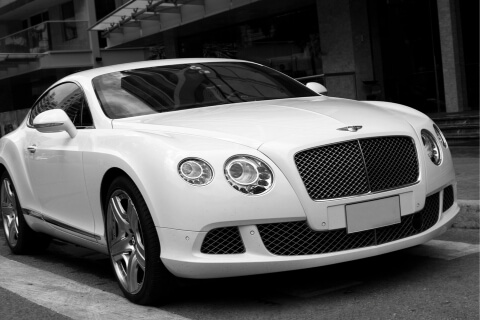 Winter driver with spirit animals