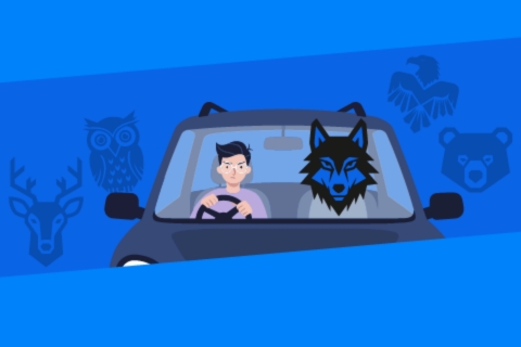 Winter driver with spirit animals