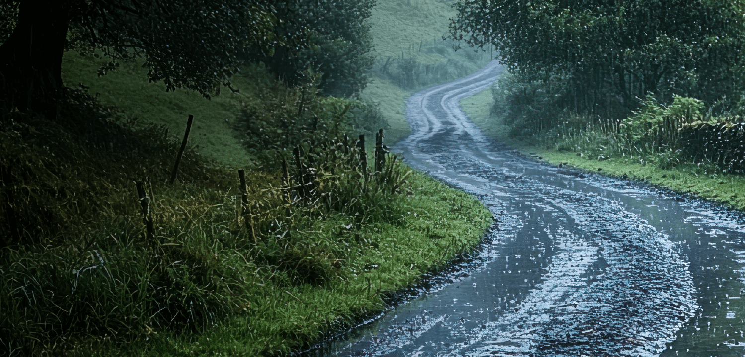 Blackcircles performance tyres