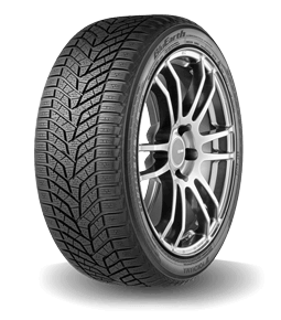 Yokohama BluEarth Winter V905 (Winter Tyre) tyre